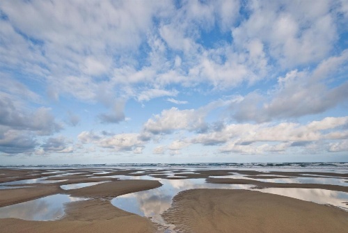 645 N Pacific St Townhouse Unit A image 2